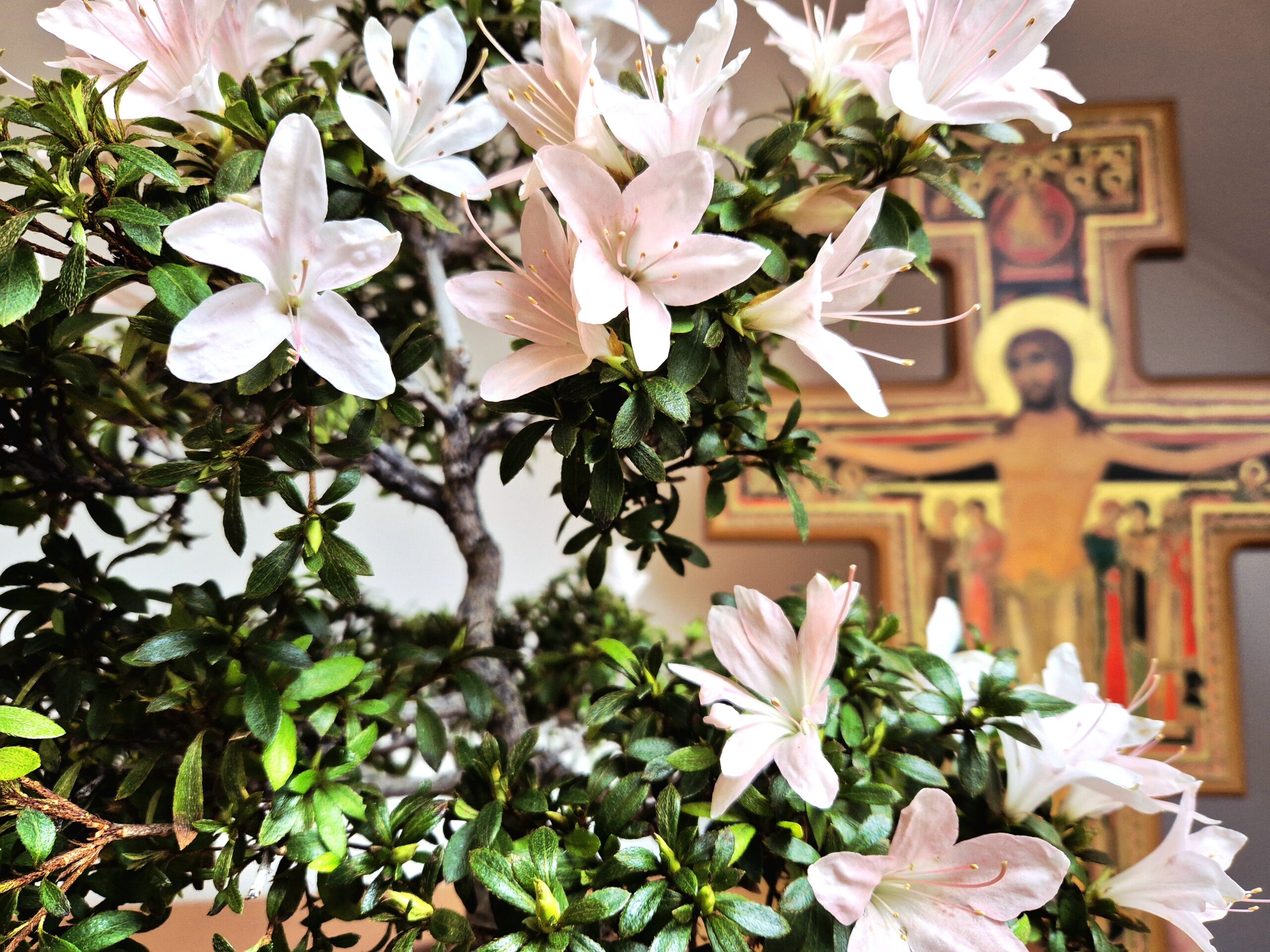 Pročitajte više o članku